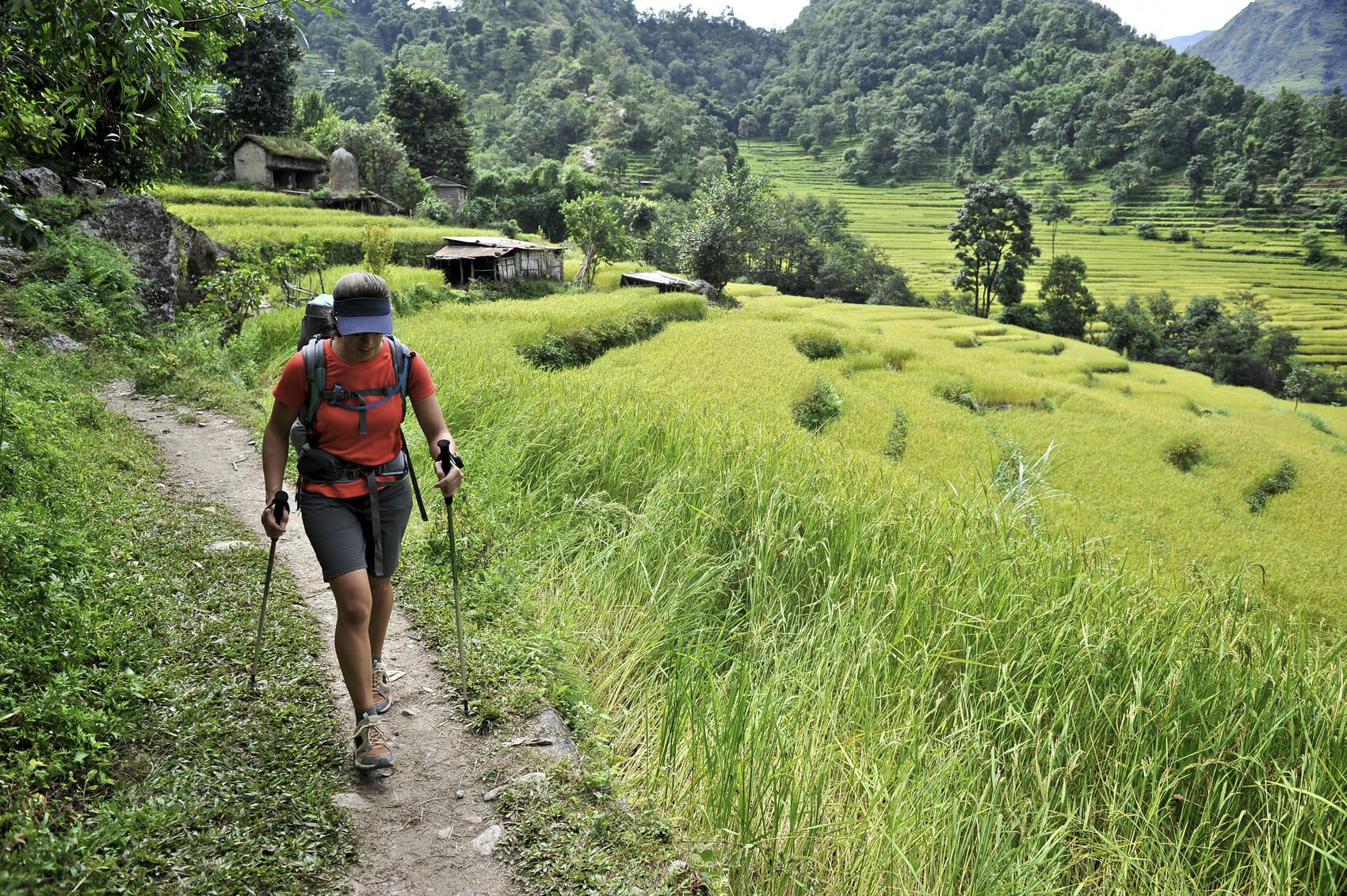 Unplug & Recharge: The Mental Perks of a Day in Nature.