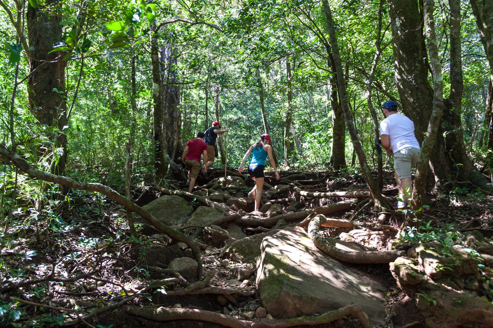 The Art of Letting Go: Why Nature Trips Are Good for the Soul.